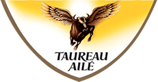 Taureau Ailé